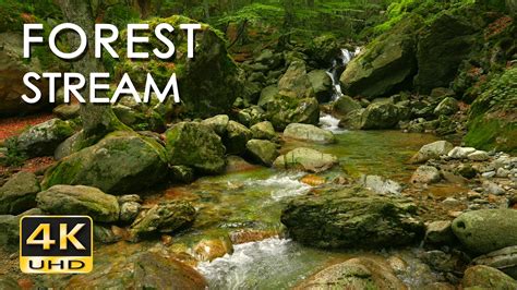 Access more than 150,000+ movies and tv episodes across free and paid channels. 4K Forest Stream - Relaxing River Sounds - No Birds ...