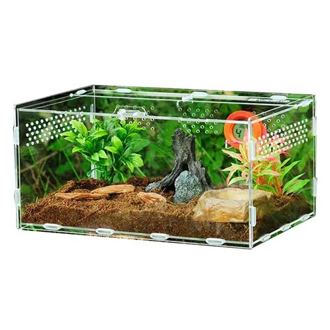 Pet Supplies Terrariums For Insect Spider Lizard Frog Cricket Turtle Snail Caterpillar Reptile