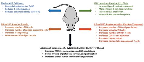 The Development Of Next Generation Pbmc Humanized Mice For Preclinical
