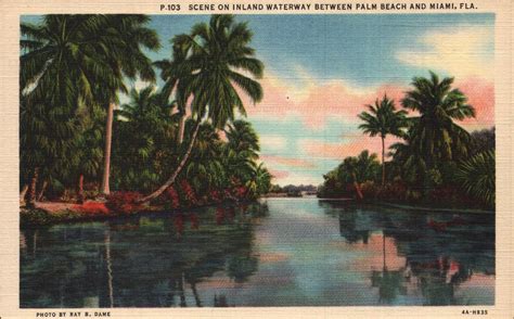 Vintage Linen Postcard Scene On Inland Waterway Between Palm Etsy