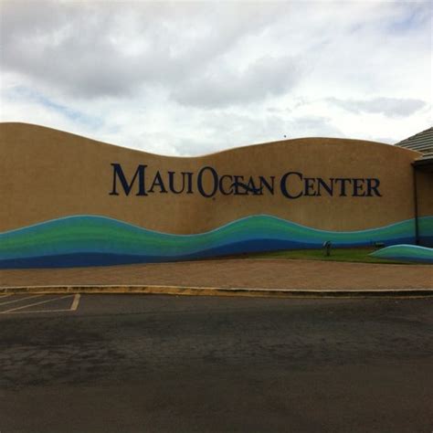 Check spelling or type a new query. Maui Ocean Center, The Hawaiian Aquarium - 60 tips