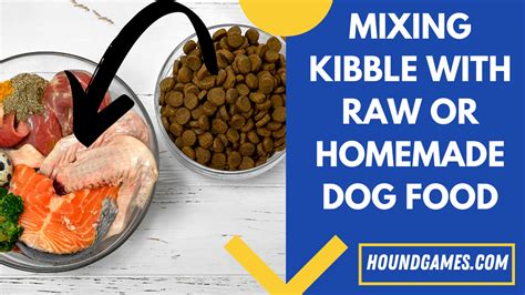 Mixing Kibble With Raw Or Homemade Dog Food The Right Way Houndgames