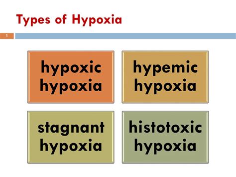 Ppt Types Of Hypoxia Powerpoint Presentation Free Download Id6378560
