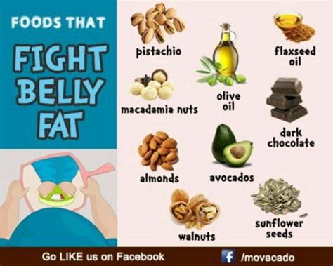 What Are Belly Fat Fighting Foods Pdf