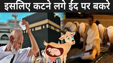 तो इसलिए कटने लगे ईद पर बकरे हुआ खुलासा Goat Qurbani Story Why Do They Sacrifice Goats Youtube