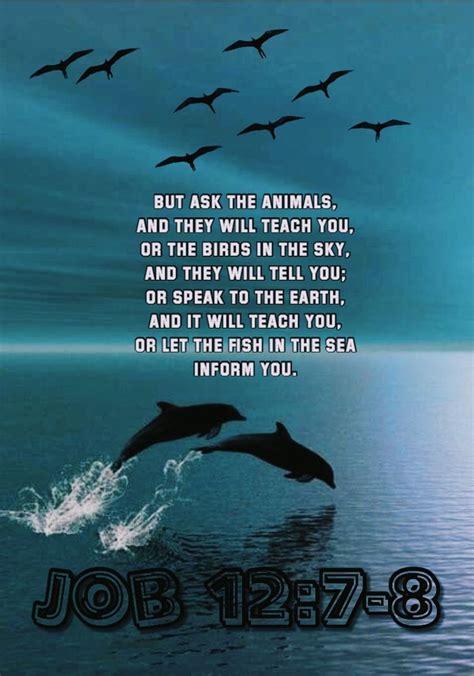 But Ask The Animals And They Will Teach You Or The Birds In The Sky