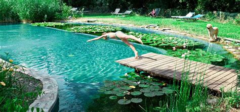 How To Put In Your Own In Ground And Above Ground Pools