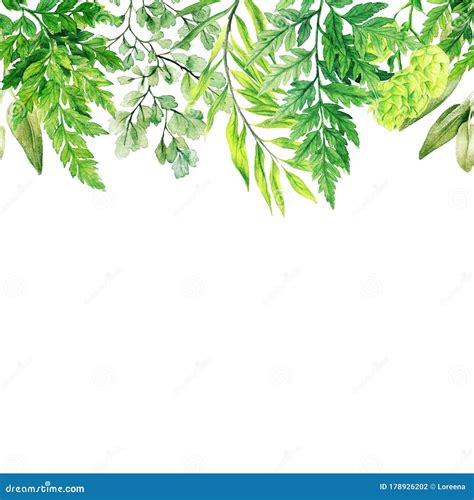Watercolor Leaves Greenery And Ferns Header Seamless Border Stock