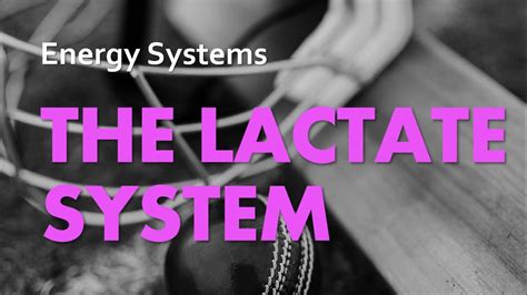 The Lactate System Energy Systems 03 Anatomy Physiology YouTube