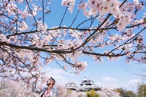 5 Best Cherry Blossom Spots Aka Sakura Around Mount Fuji Article