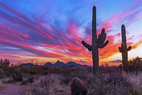 Arizona Desert Sunset Near Hiking Trail With Cactus Photograph By Ray
