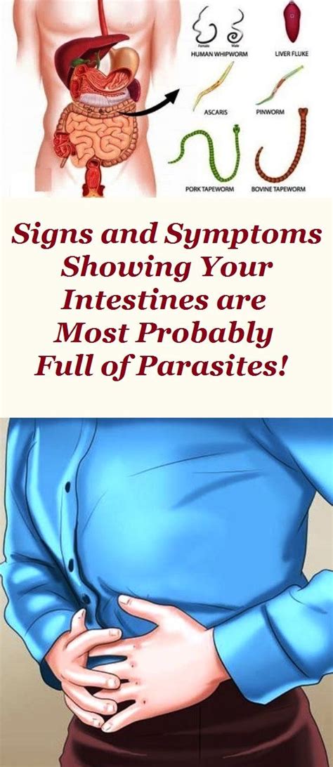Signs And Symptoms Showing Your Intestines Are Most Probably Full Of Parasites Parasites