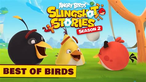 Angry Birds Slingshot Stories S2 Best Of Birds 🥰 Youtube