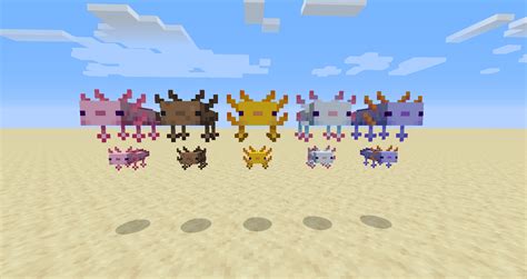 Summon selected colored axolotl, pink, brown, yellow, white and blue axolotls. All the Axolotl variants from the new snapshot! : Minecraft