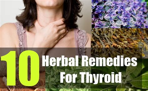 Top 10 Herbal Remedies For Thyroid How To Treat Thyroid With Herbs