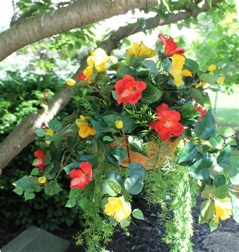 Silk Hanging Plant Red And Yellow Hibiscus With Long Greens By