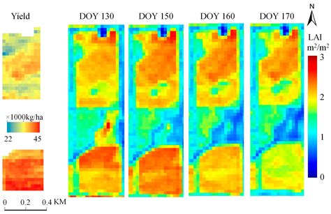 Remote Sensing Free Full Text Daily Mapping Of M Lai And Ndvi