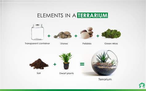 How To Build A Terrarium On Your Own Zameen Blog
