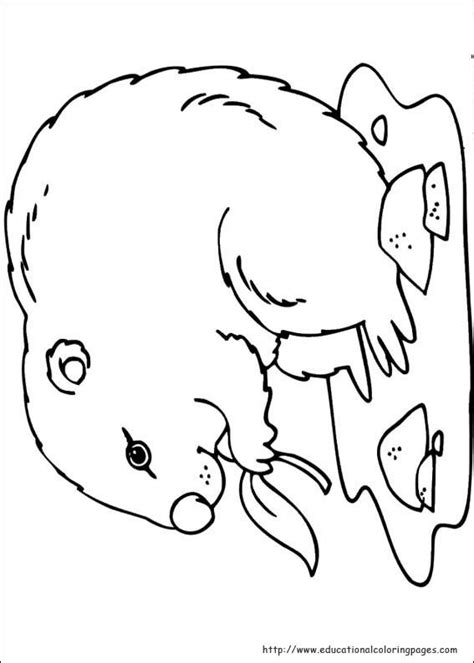 39+ groundhog coloring pages preschool for printing and coloring. Groundhog Day Coloring Pages - Educational Fun Kids ...