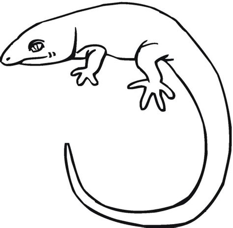 The legs of reptiles also evolved to shift to the. Reptile Coloring Pages - Best Coloring Pages For Kids