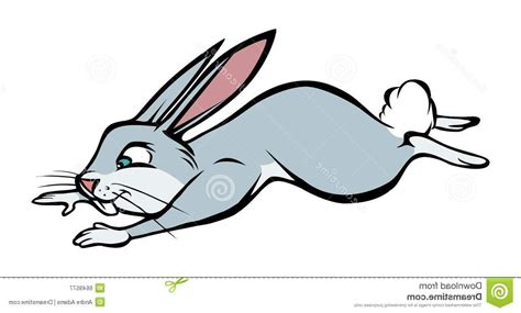 Rabbit Running Clipart Free Download On Clipartmag