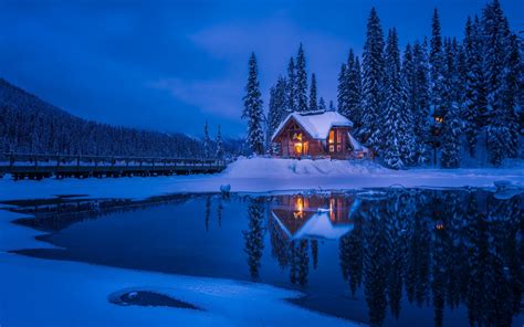 1440x900 Resolution Forest House Covered In Snow 4k 1440x900 Wallpaper