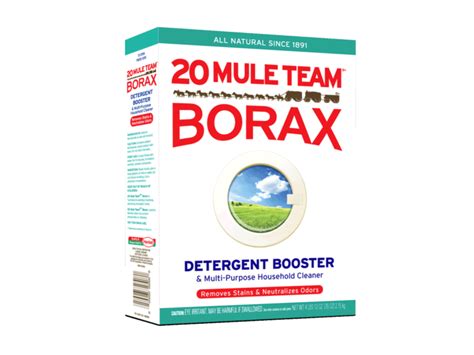 Is Borax Safe Around Dogs