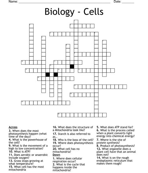 Biology Cells Crossword Wordmint