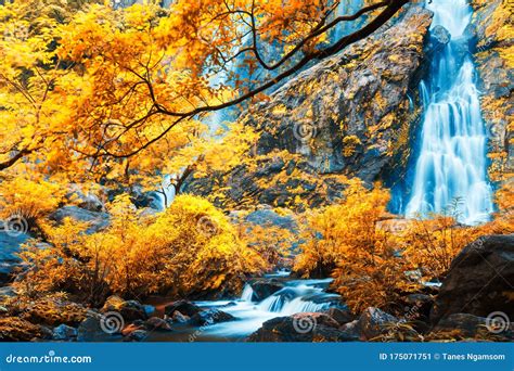 Gorgeous Waterfall In A Colorful Forest Stock Image Image Of Bright