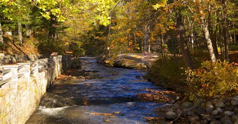 7 great places to see fall foliage in albany and the capital region