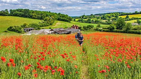 Will Plans To Convert The Chilterns Into A National Park Save The Gomm
