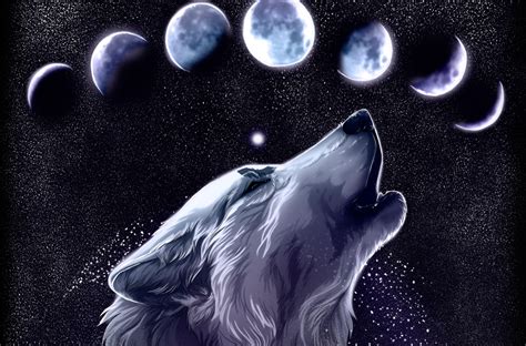 Galaxy Wolves Wallpapers Top Free Galaxy Wolves Backgrounds