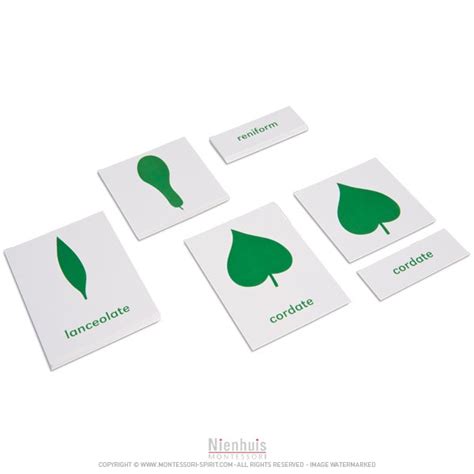 Botany Cabinet Nomenclature Cards Montessori Spirit