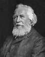 Who was Ernst Haeckel? - Natural History Curiosities