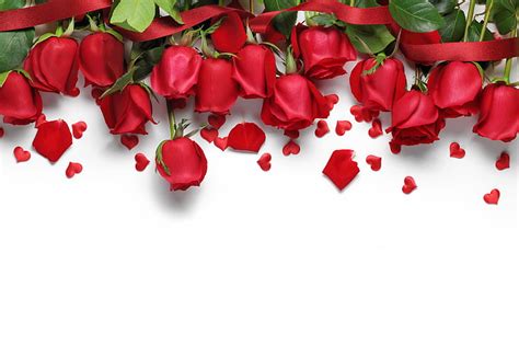 Hd Wallpaper Red Roses Aero White Beautiful Love Flowers Present