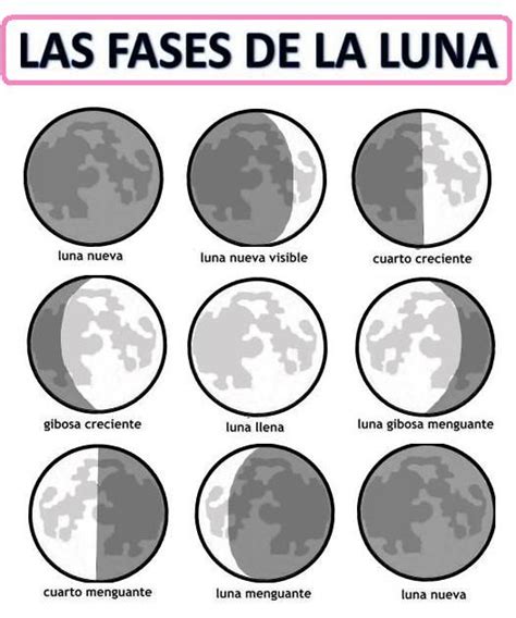 Fases De La Luna Fases De La Luna Actividades De La Luna Ciencias