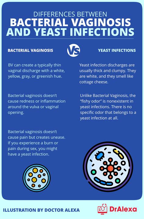 BV Vs Yeast Infection Everything You Need To Know Doctor Alexa