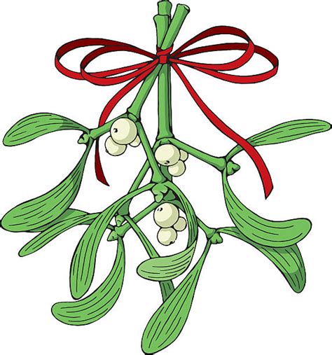 A Drawing On Mistletoe Hanging From A Red Bow Illustrations Royalty