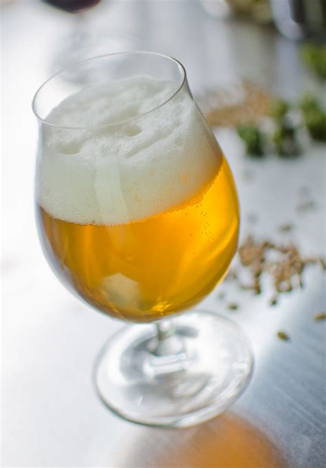 More Fun Blonde Beer Recipe American Homebrewers Association