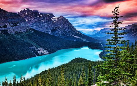 Peyto Lake Sunset Banff National Park Forest Summer Canadian