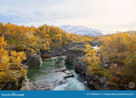 Abiskojokk River Flowing Through An Autumn Colored Abisko National Park