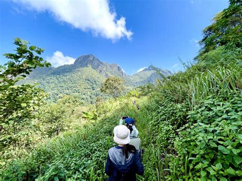 Closer To Heaven Immerse Yourself In The Beauty Of Doi Luang Chiang Dao