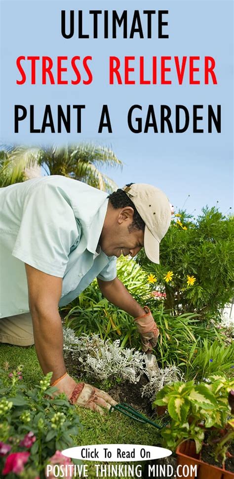 Gardening Relieves Stress And Anxiety Positive Thinking Mind