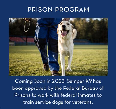 Service Dogs For Veterans Semper K9 Service Dogs For Veterans