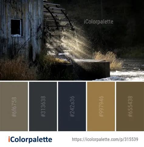 855 Wood Color Palette Ideas In 2023 Icolorpalette