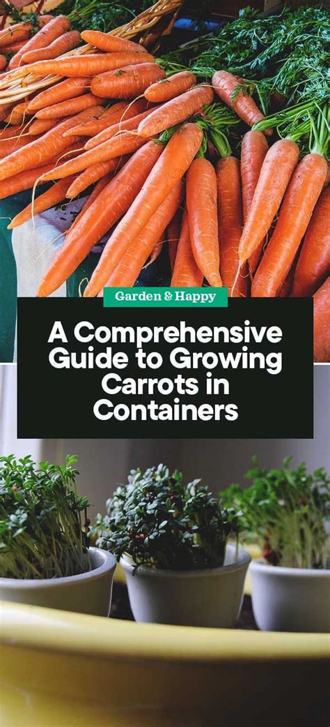 A Comprehensive Guide To Growing Carrots In Containers Garden And