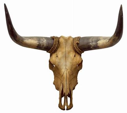 Skull Longhorn Animal Clipart Transparent Webstockreview Rustic