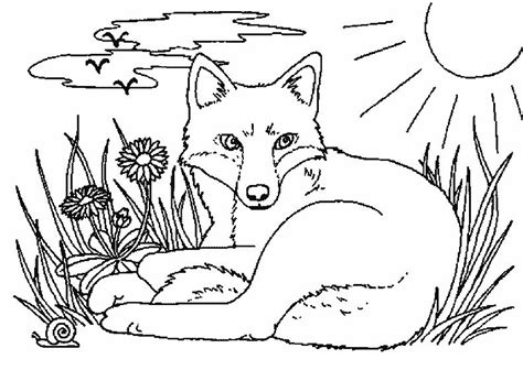 Die füchsin und der hamster sind die besten freunde. KonaBeun - zum ausdrucken ausmalbilder fuchs - #17492