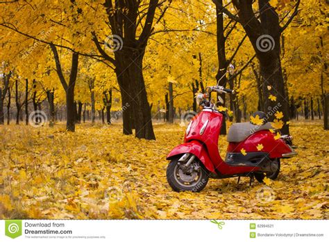 Vintage Motorcycle In The Autumn Forest Stock Image Image Of