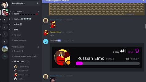 Yes This Is The Type Of Discord Servers I Go On Youtube